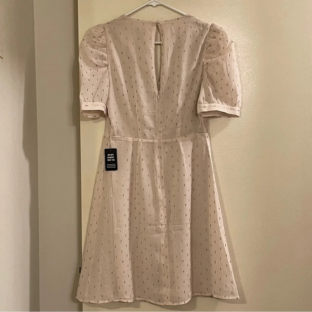 EXPRESS Metallic‎ Clip Dot Puff Sleeve Fit and Flare Dress - Picture 5 of 7
